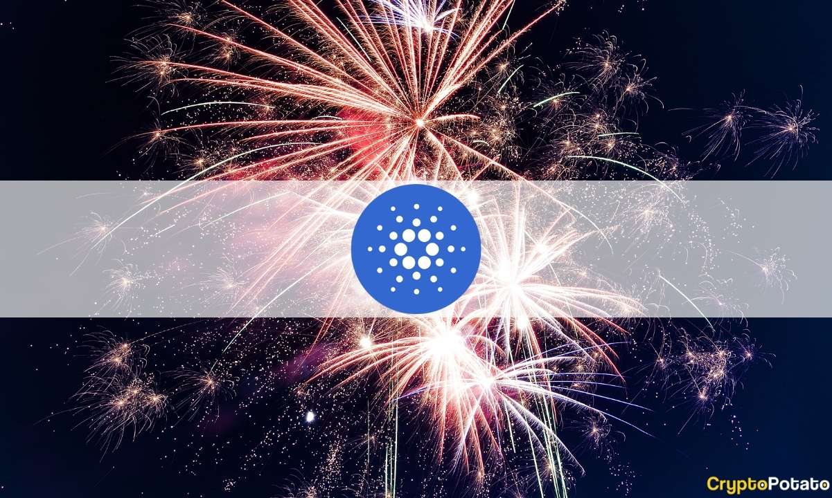 Cardano-maintains-dominance-in-developer-activity-charts-with-impressive-score:-data