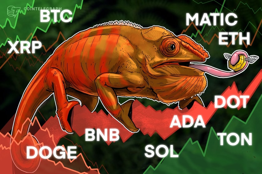 Price-analysis-10/4:-btc,-eth,-bnb,-xrp,-sol,-ada,-doge,-ton,-dot,-matic