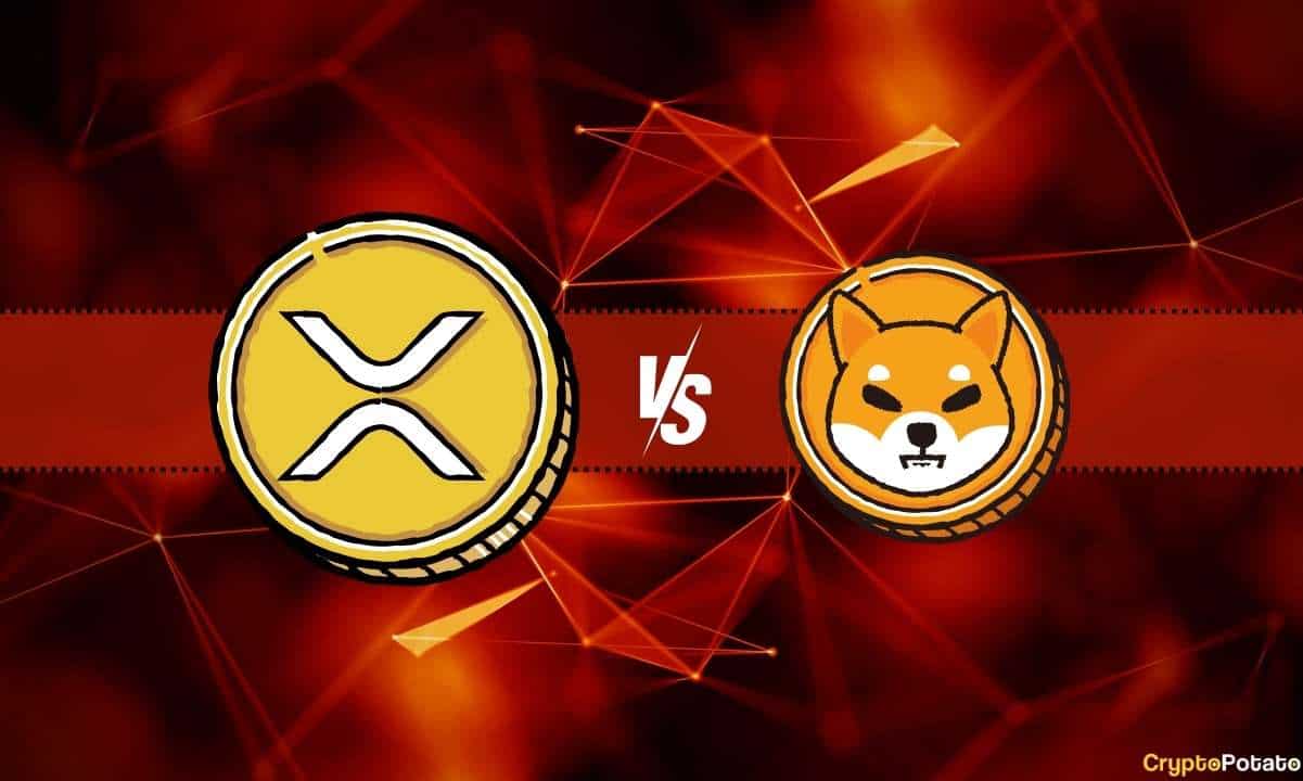 Ripple-(xrp)-obliterates-shiba-inu-(shib)-in-this-metric,-but-there’s-a-catch