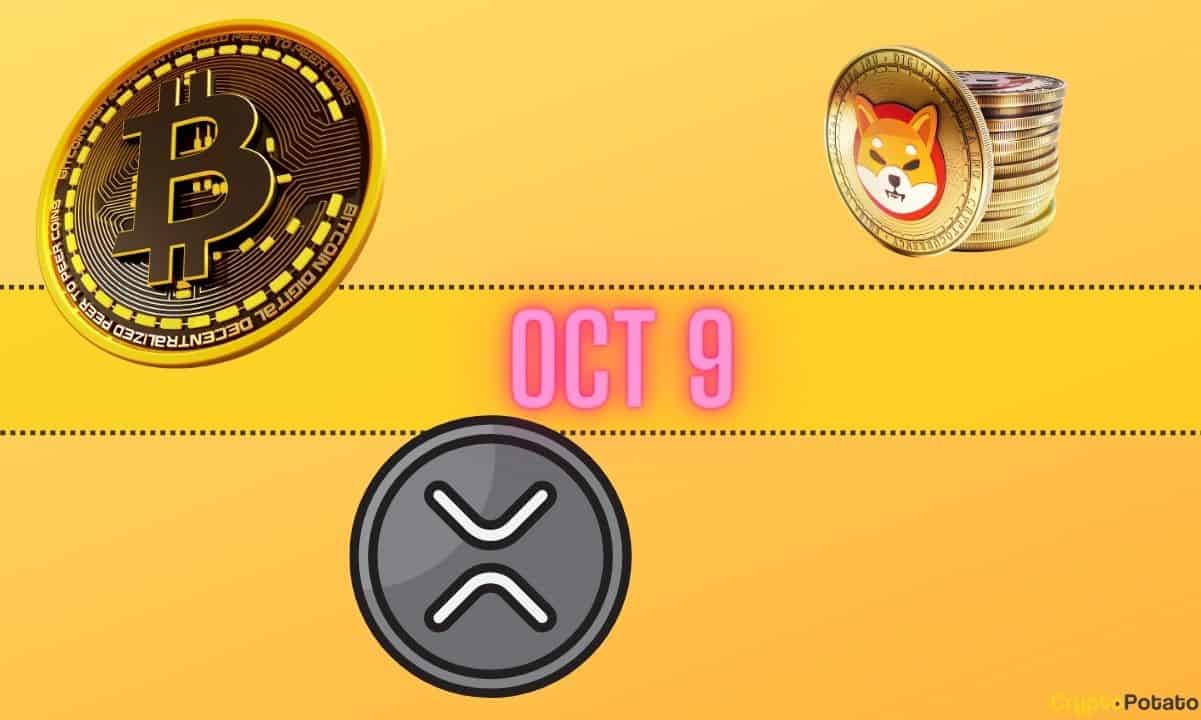 Bitcoin-price-predictions,-xrp-targets,-and-shiba-inu-issues:-bits-recap-oct-9