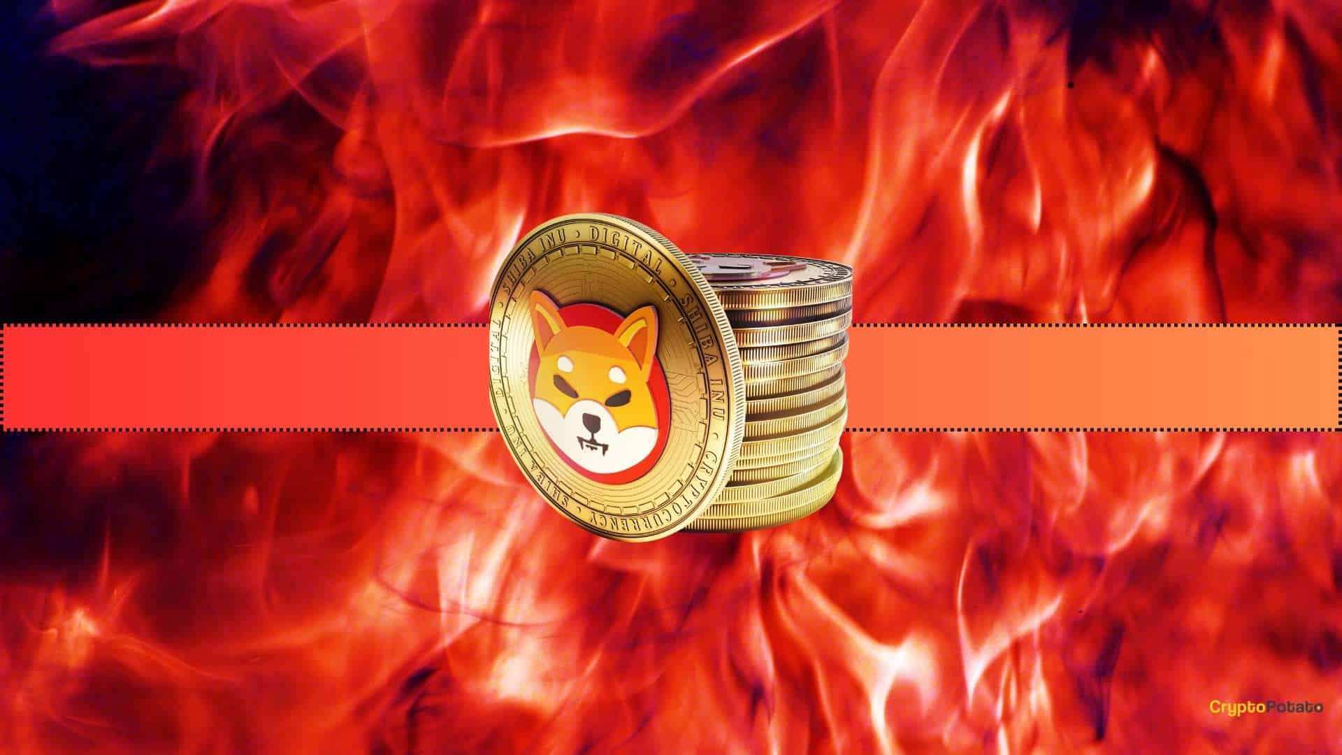 Bullish-sign?-shiba-inu-(shib)-burn-rate-spikes-250%