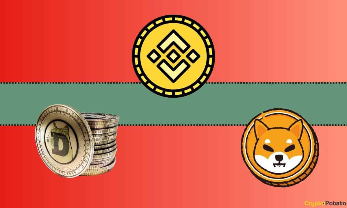 Important-binance-update-concerning-shiba-inu-(shib)-and-dogecoin-(doge)