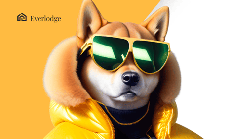 Shiba-inu-and-ripple-price-outlook:-new-altcoin-everlodge-continues-upward-price-rise