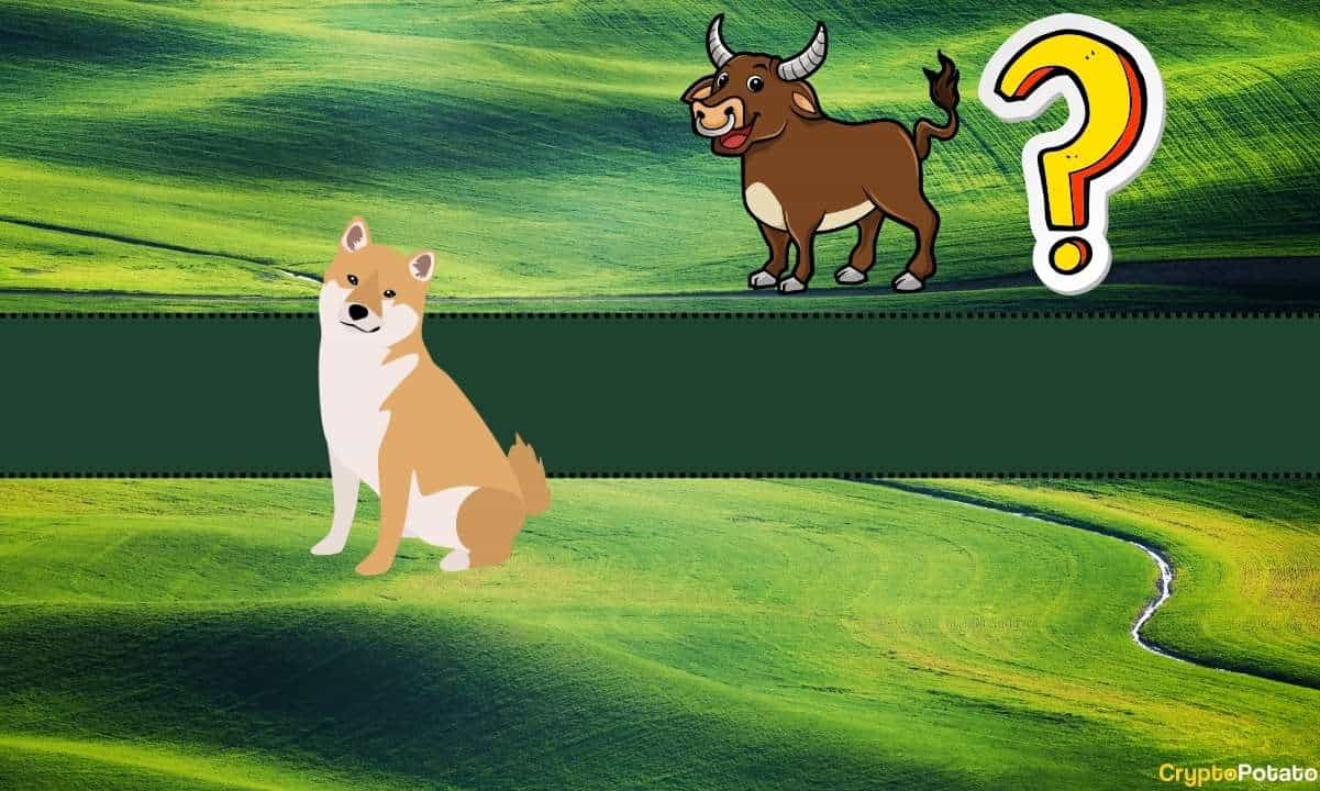 Which-altcoin-is-worth-buying?-shiba-inu-(shib)-proposed-by-this-bitcoin-proponent
