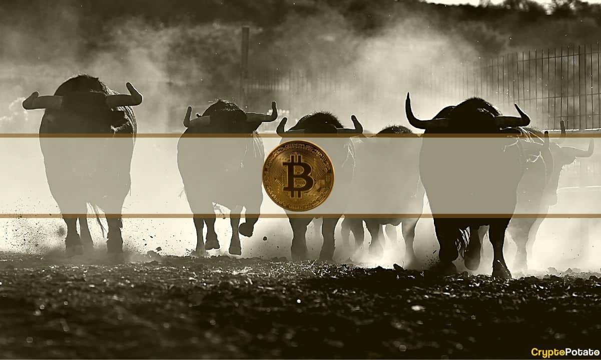 Super-bullish-bitcoin-(btc)-price-prediction:-target-by-2024-btc-halving