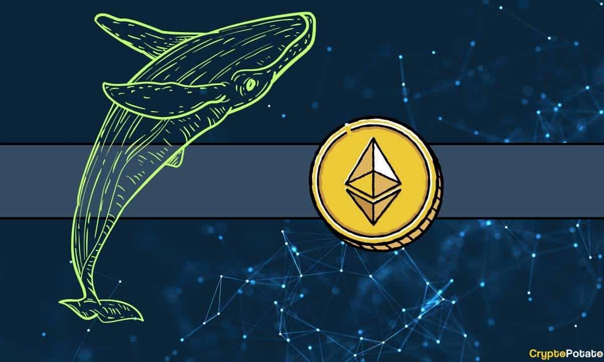 This-whale-is-expected-to-lose-$180m-on-eth-investment-despite-ethereum’s-surge-past-$2k:-data