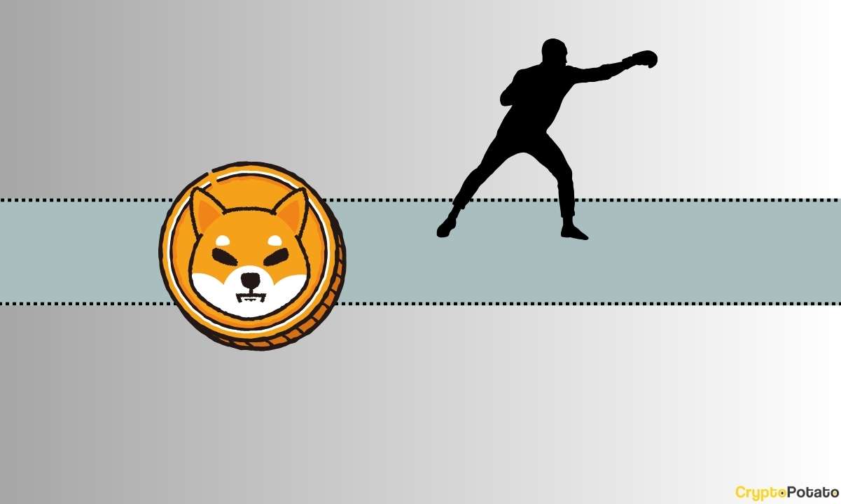 Major-and-curious-partnership-for-shiba-inu-(shib)-incoming:-who-will-the-famous-athlete-be?