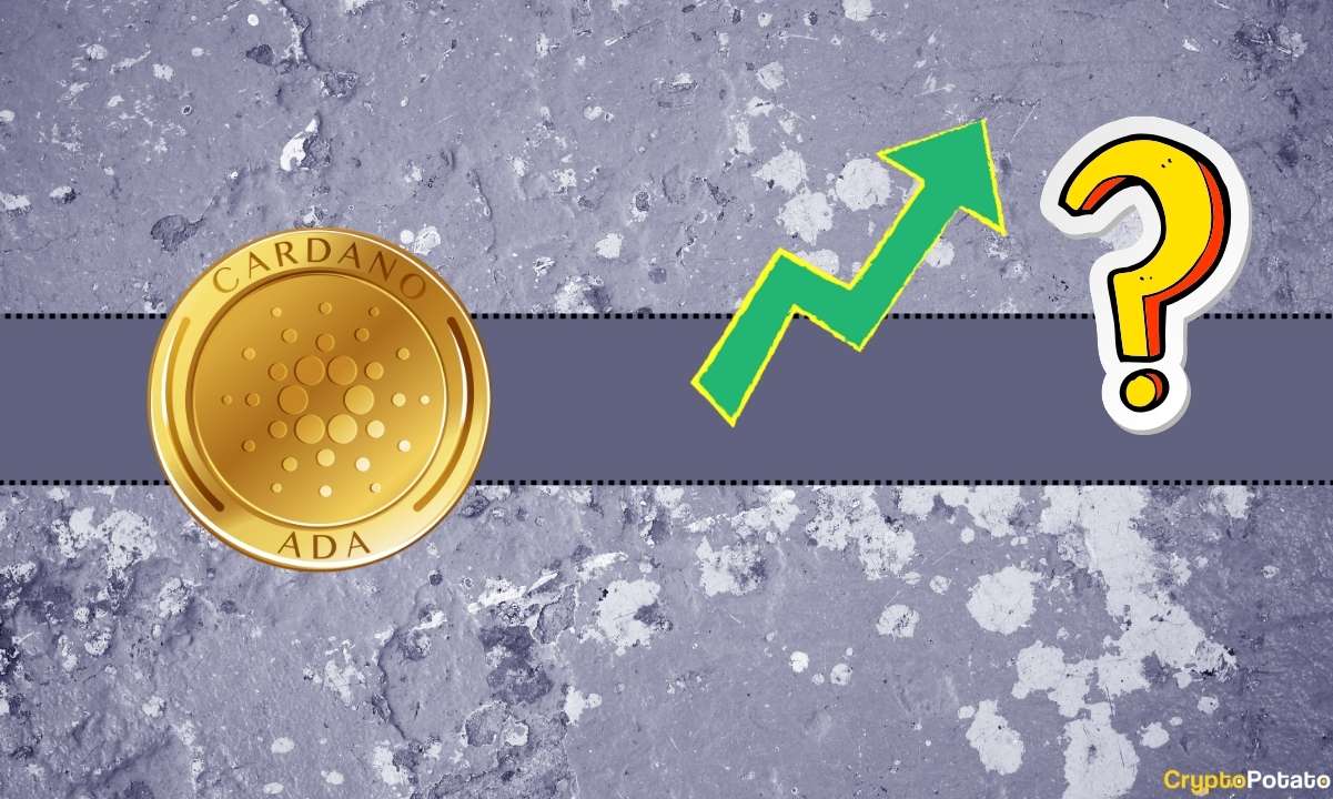Is-cardano-(ada)-price-about-to-soar-by-100%-before-the-year’s-end?-this-popular-analyst-chips-in