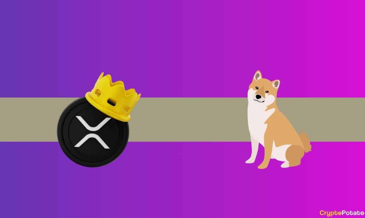 Ripple-(xrp)-and-shiba-inu-(shib)-announcements-from-this-popular-crypto-exchange