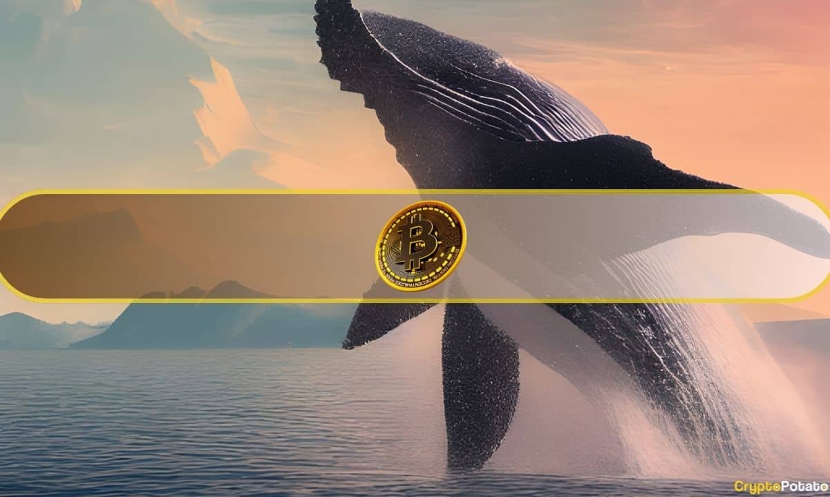Dormant-bitcoin-whale-transfers-$137-million-in-btc-after-4-years