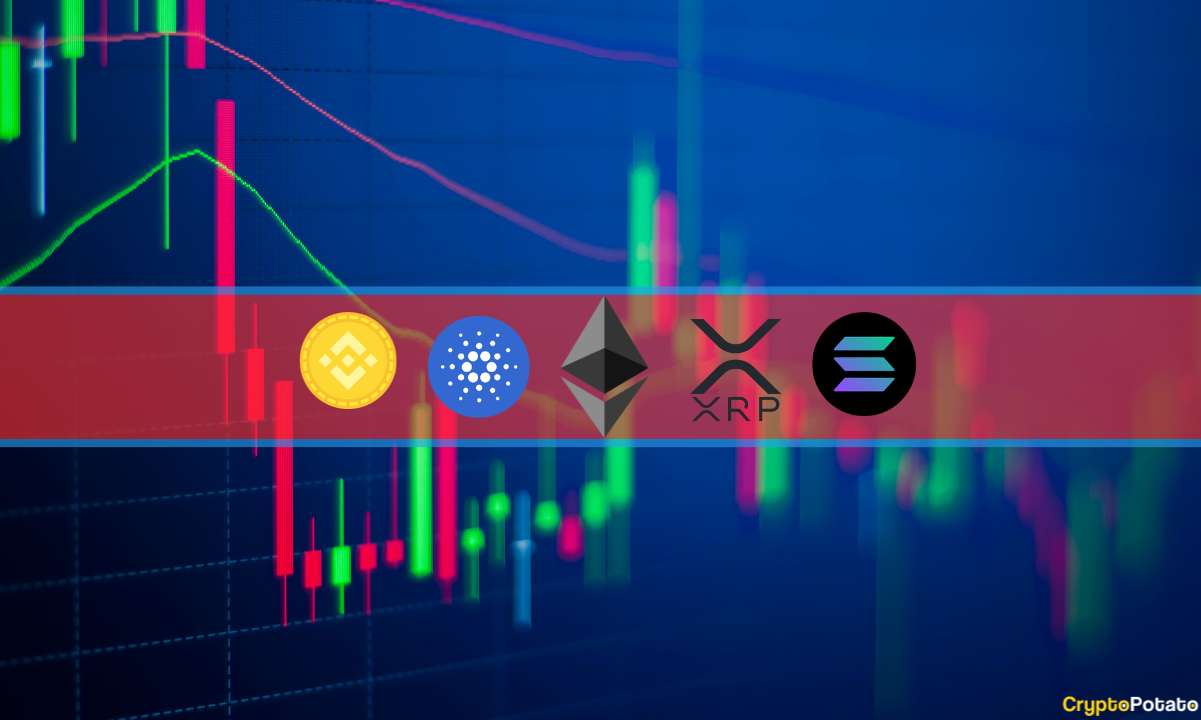 Crypto-price-analysis-dec-1:-eth,-xrp,-ada,-sol,-and-bnb