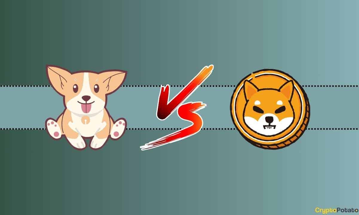 We-asked-chatgpt-if-bonk-can-replicate-shiba-inu’s-previous-bull-run