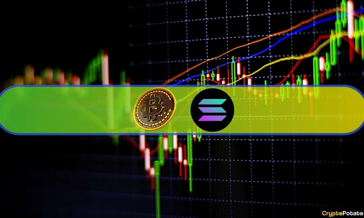 Bitcoin-settles-below-$43k,-solana-explodes-8%-on-bonk-hype-(market-watch)
