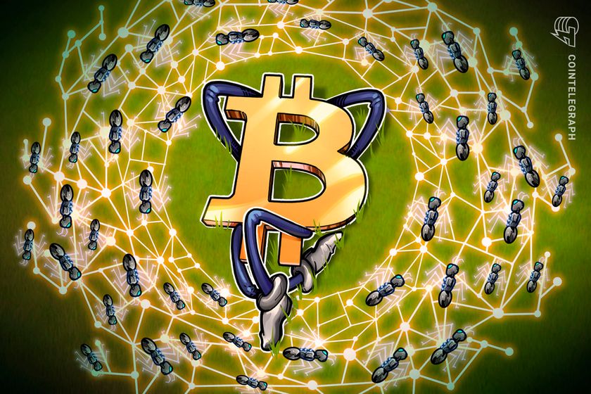 Bitcoin-ecosystem-reinvigorated-by-memecoins,-new-protocols