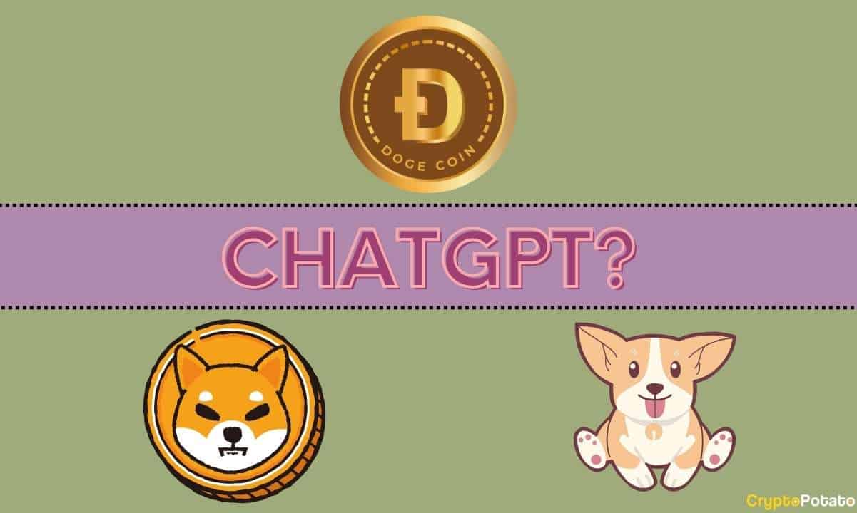 We-asked-chatgpt-which-will-be-the-biggest-meme-coin-in-2024?-bonk,-shib,-doge,-or-something-else?