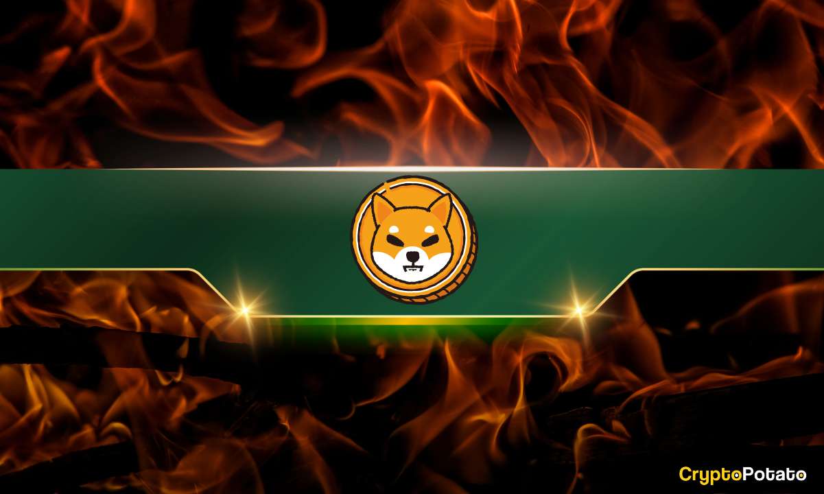 Shiba-inu-burn-rate-skyrockets-800,000%,-here’s-where-the-shib-price-is-headed-(analyst)