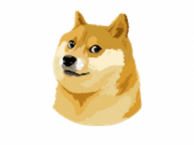 Shiba-inu-could-soon-offer-shib-holders-a-‘.shib’-internet-domain