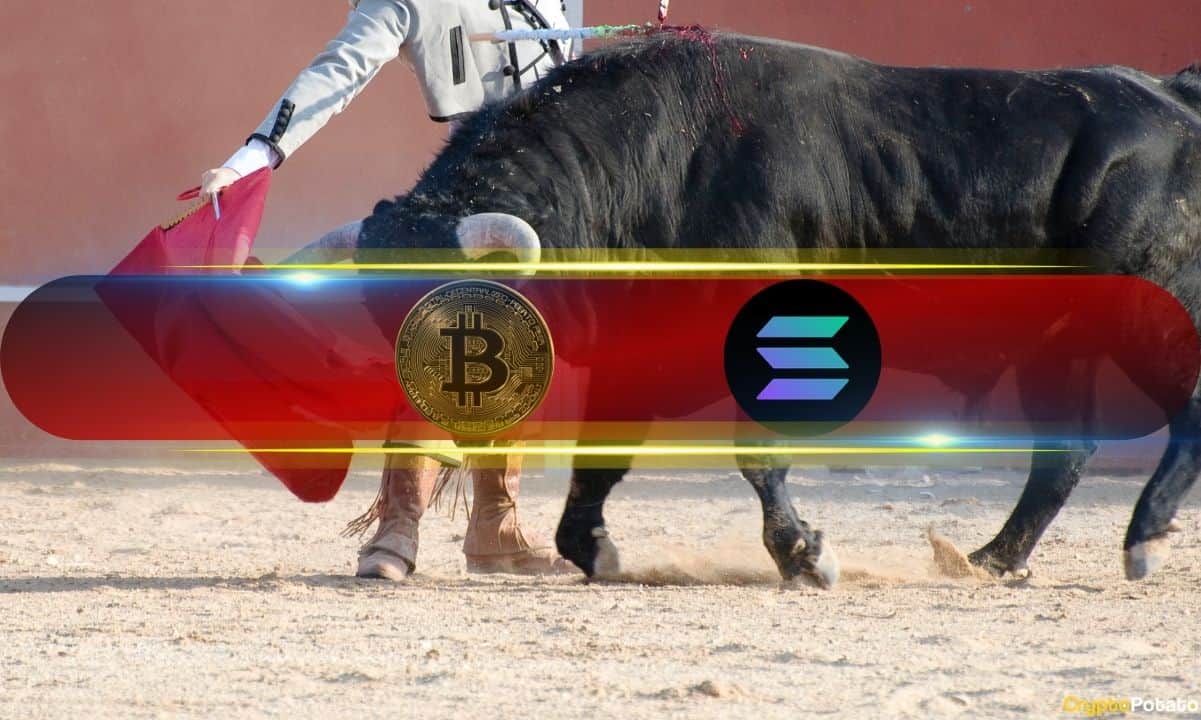 Btc-rejected-at-$44k,-sol-skyrockets-to-$100-and-surpasses-xrp-as-5th-largest-crypto:-this-week’s-recap