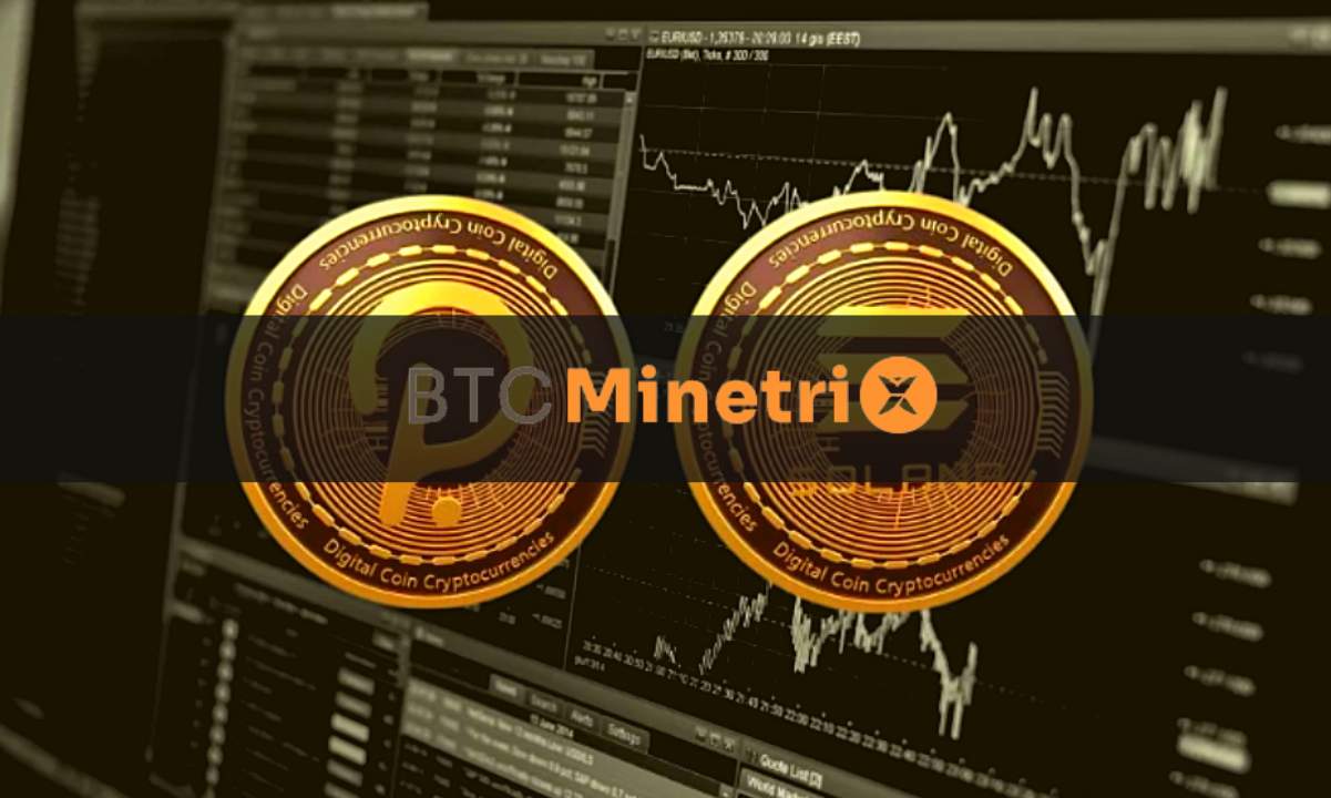 Crypto-prices-surge-with-solana,-polkadot,-bitcoin-minetrix-among-top-gainers