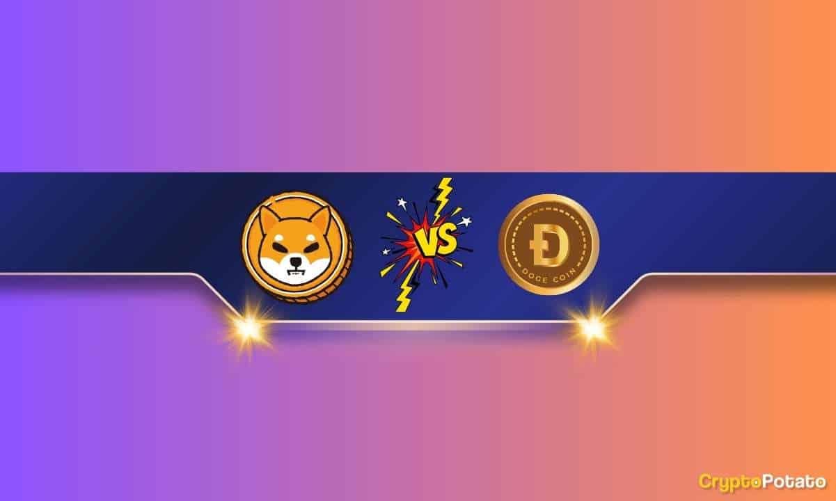 We-asked-chatgpt-if-shiba-inu-(shib)-can-flip-dogecoin-(doge)-in-2024