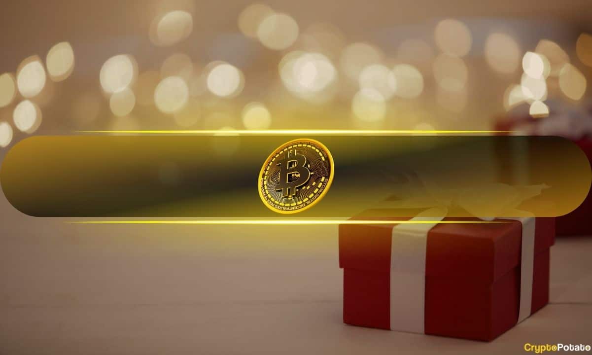 Taproot-wizards-contributor-rijndael-offers-christmas-gift-to-bitcoin-ordinals-critics