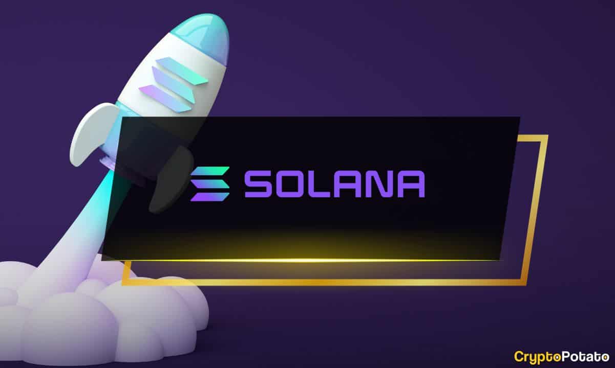 7-best-solana-(sol)-wallets:-full-comparison-(updated-2024)