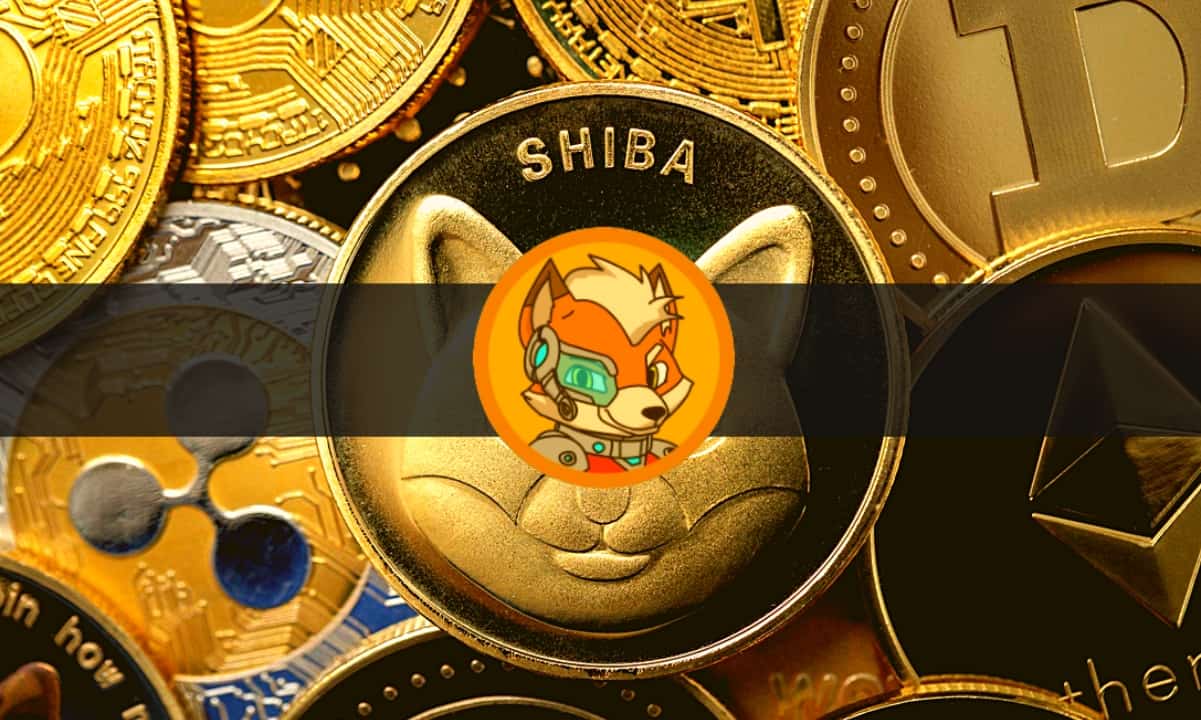 Shiba-inu-to-launch.shib-email-for-$shib-holders,-as-$gfox-heads-for-new-high