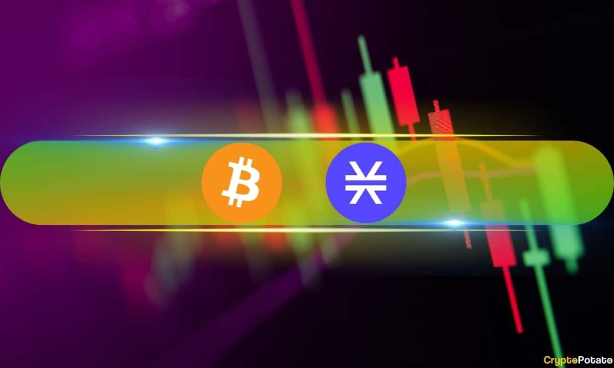 Btc-stalls-at-$44k,-stx-defies-market-sentiment-as-altcoins-keep-bleeding-out-(market-watch)