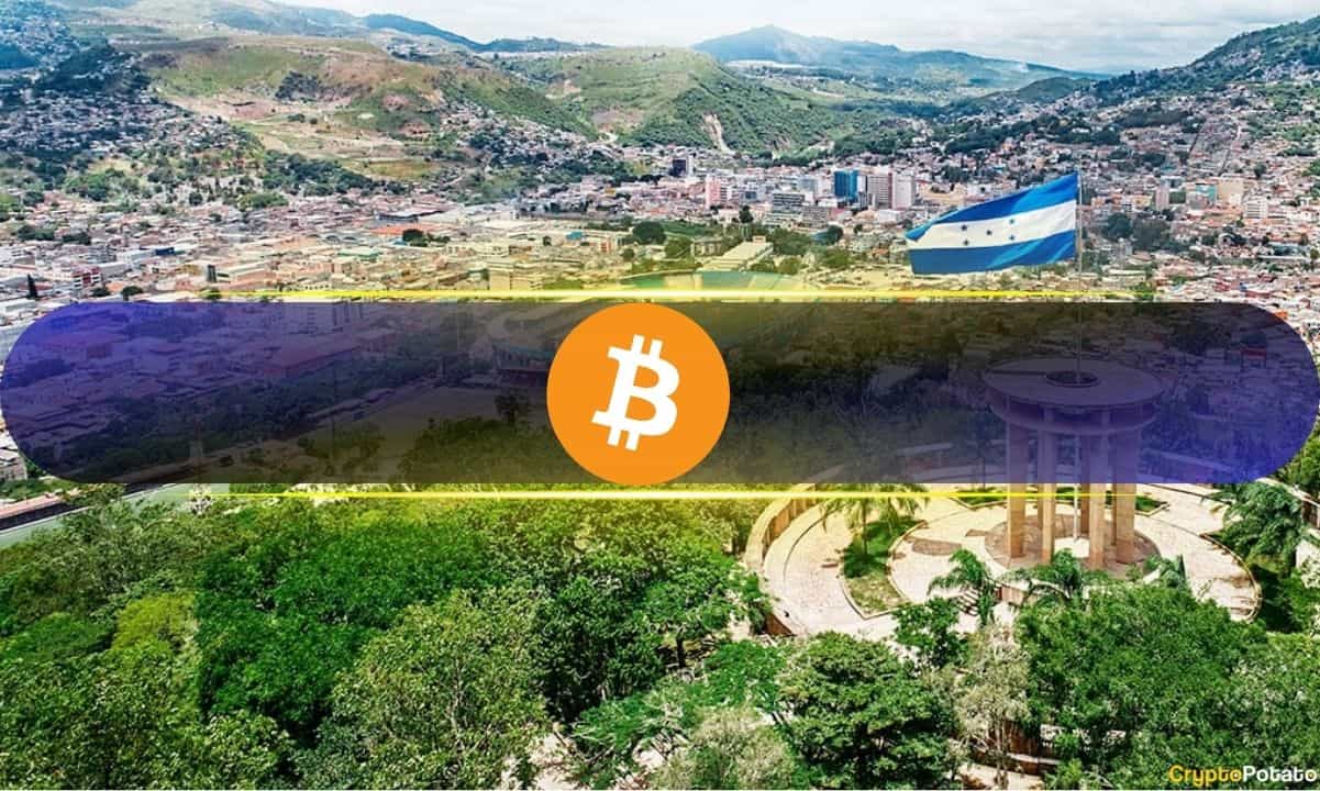 Special-economic-zone-in-this-country-recognizes-bitcoin-as-a-unit-of-account