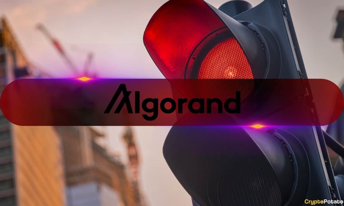 Algorand-investors-face-setbacks,-88%-of-algo-holders-in-loss:-analysis