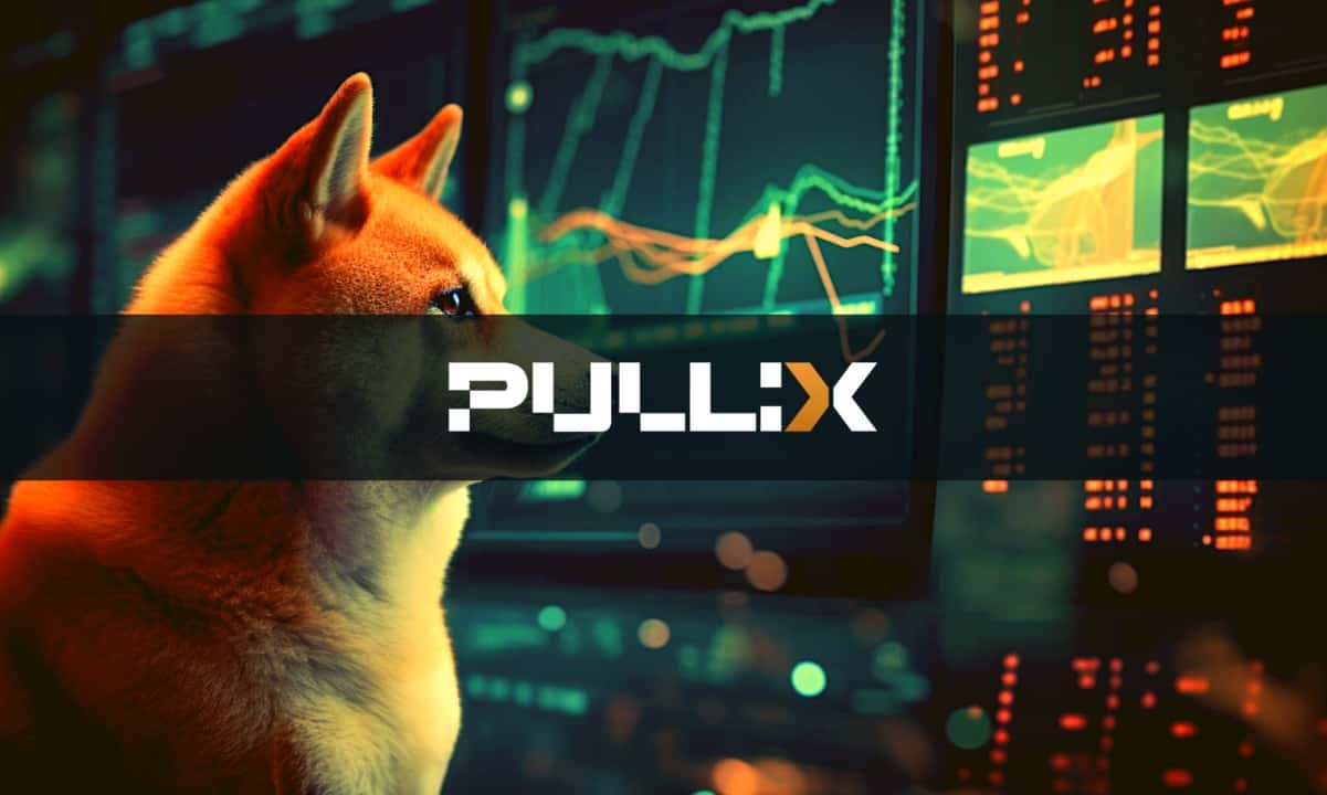 Dogecoin-(doge)-and-shiba-inu-(shib)-lose-momentum-as-pullix-(plx)-attracts-attention