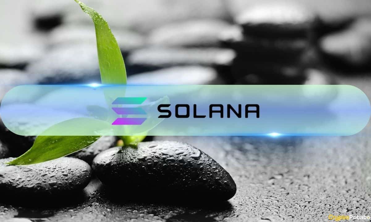 Solana-marks-consistent-growth-in-developer-ecosystem:-data