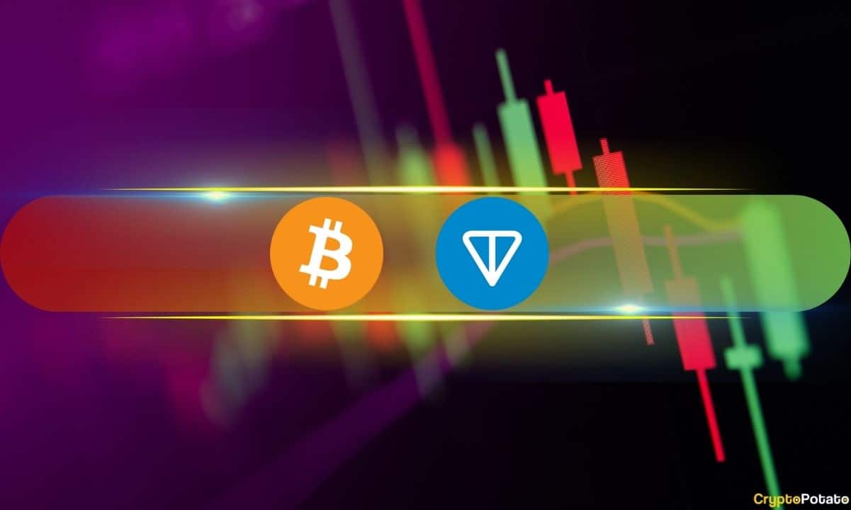 Bitcoin-falls-below-$43k,-toncoin-soars-by-10%-daily-(market-watch)