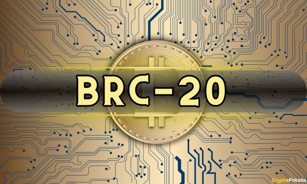 Brc-20-token-trading-volume-skyrockets-10x-since-november-2023,-kaiko-reports