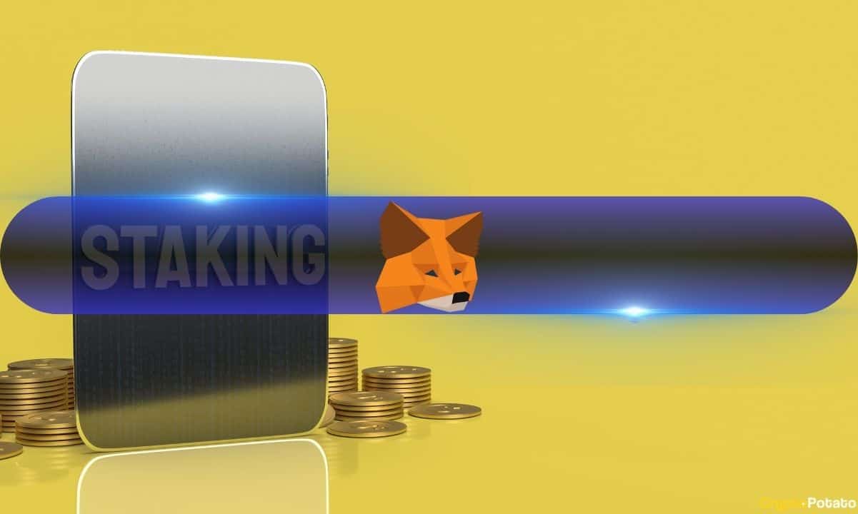 Metamask-launches-staking-nodes-on-behalf-of-users,-albeit-at-a-steep-price