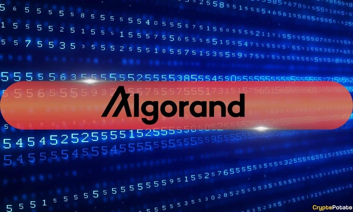 Algorand-foundation-ceo’s-x-account-hacked
