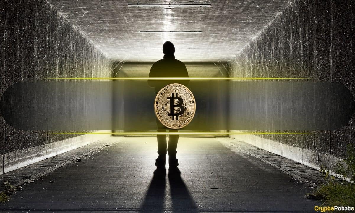 Unseen-satoshi-nakamoto-emails-revealed,-what-do-they-tell-us?