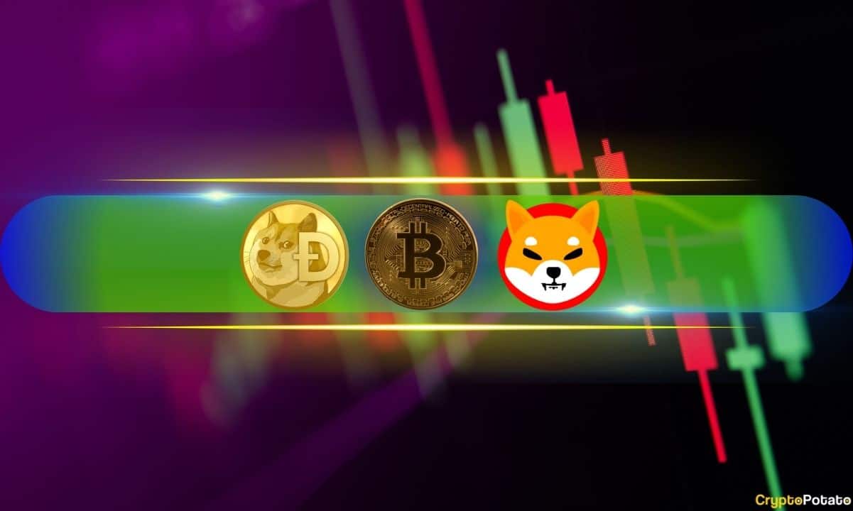 Bitcoin’s-rollercoaster-above-$60k,-dogecoin-and-shiba-inu-skyrocket-by-30%-(market-watch)