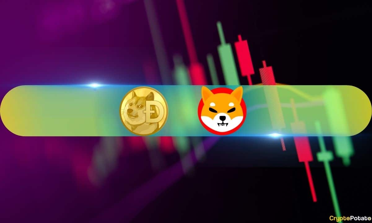 Shiba-inu-(shib)-explodes-65%-daily,-dogecoin-(doge)-follows-suit-with-20%-surge-(weekend-watch)