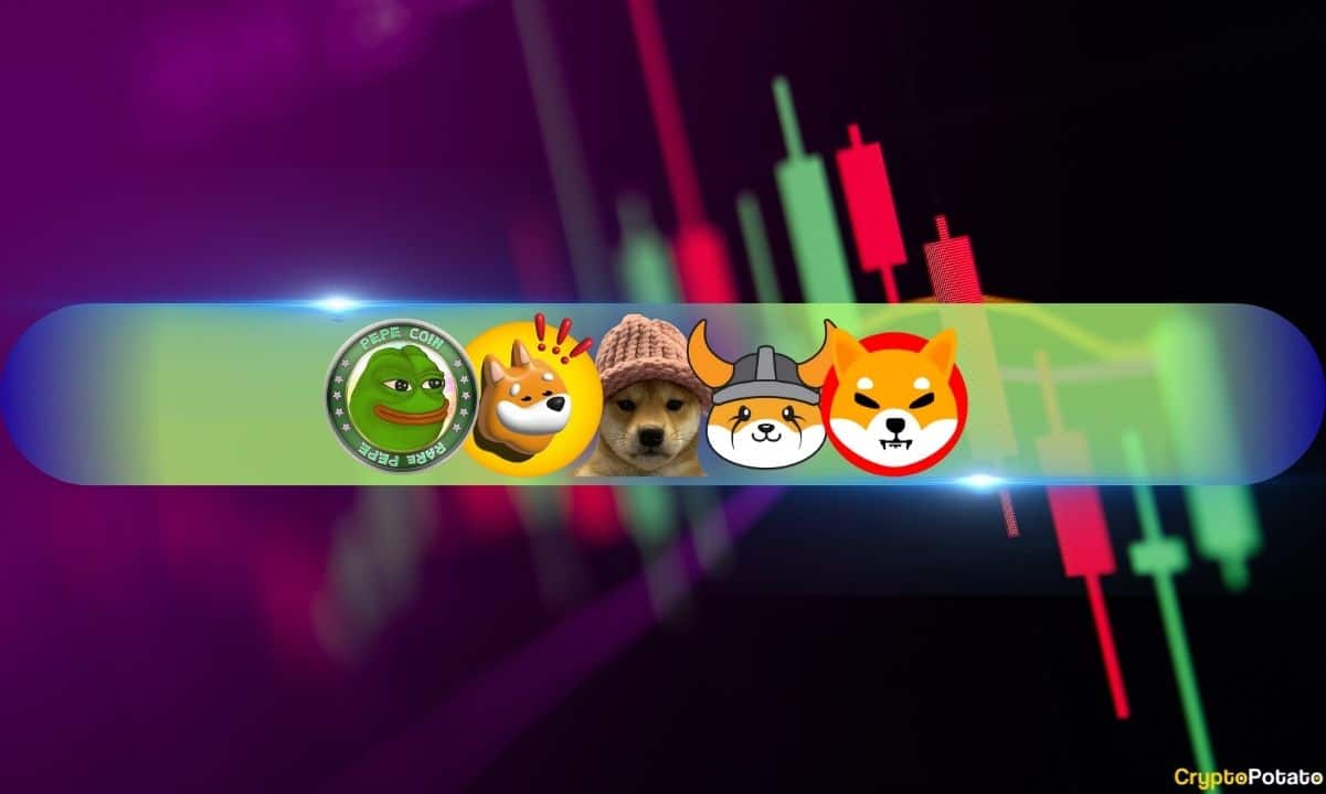 Top-meme-coins-wif,-pepe,-shib,-floki,-and-bonk-skyrocket-triple-digits-weekly-(market-watch)