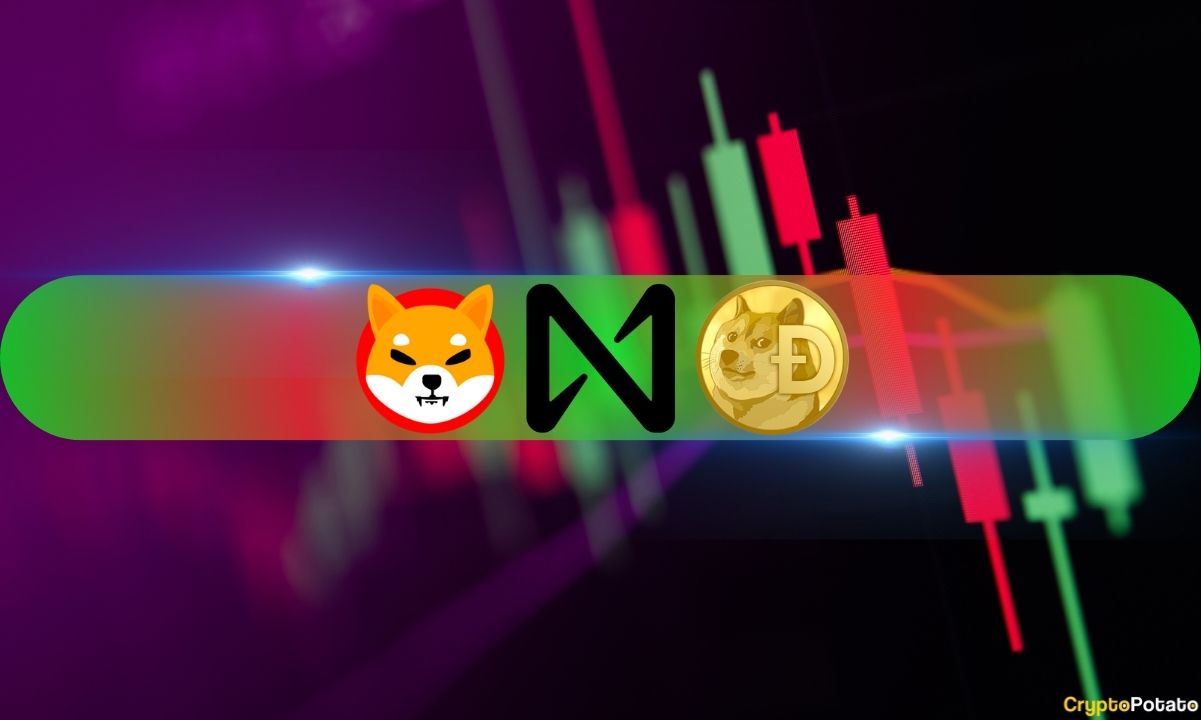 Doge,-shib-plummet-by-double-digits,-near-skyrockets-26%-daily-(market-watch)