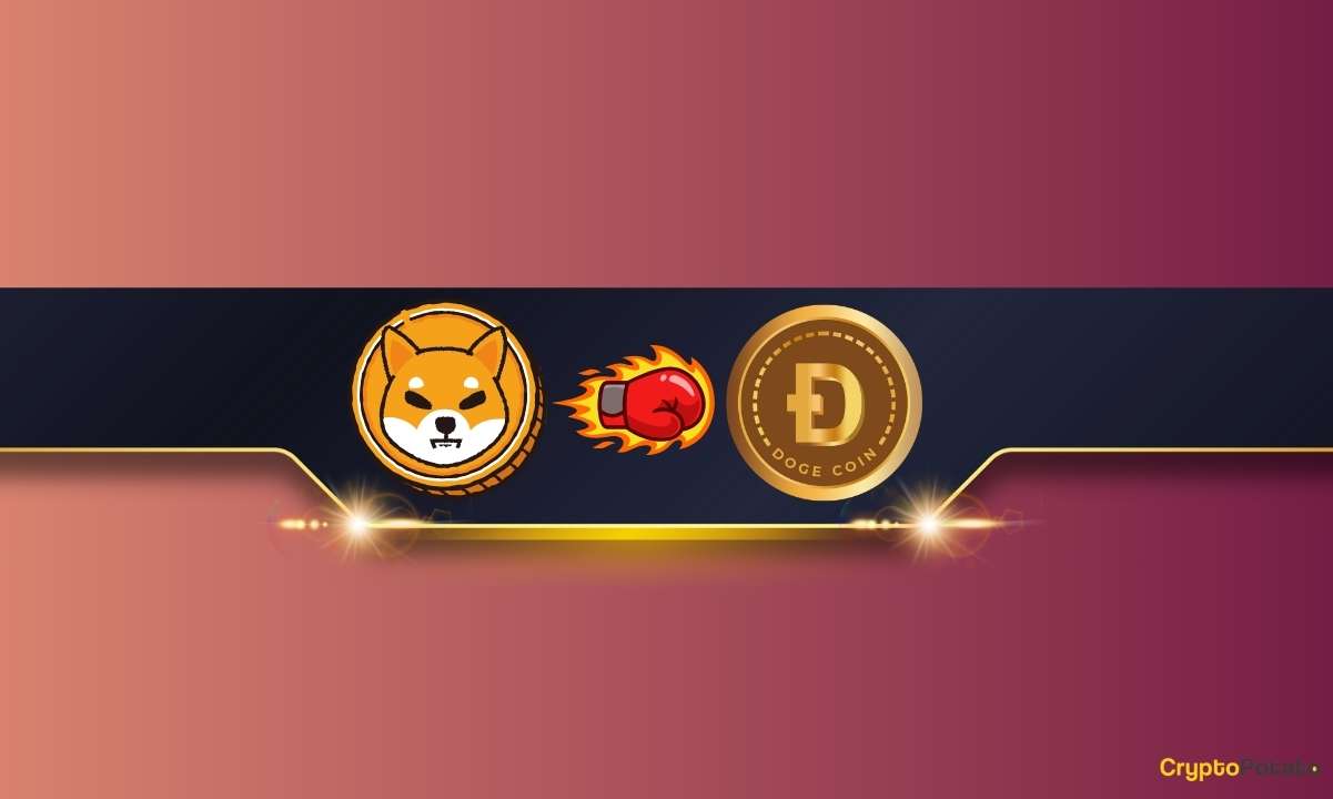 Shiba-inu-(shib)-outperforms-dogecoin-(doge)-in-this-key-metric:-details