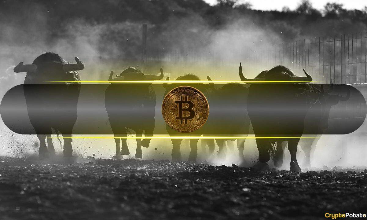 How-is-this-bitcoin-(btc)-bull-run-different-than-all-previous-ones?-(pre-halving-analysis)