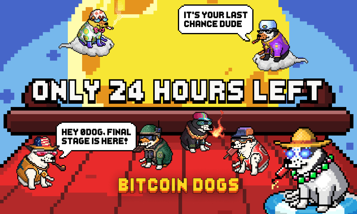 Bitcoin-dogs-raises-over-$11.5-million-and-enters-final-24-hours
