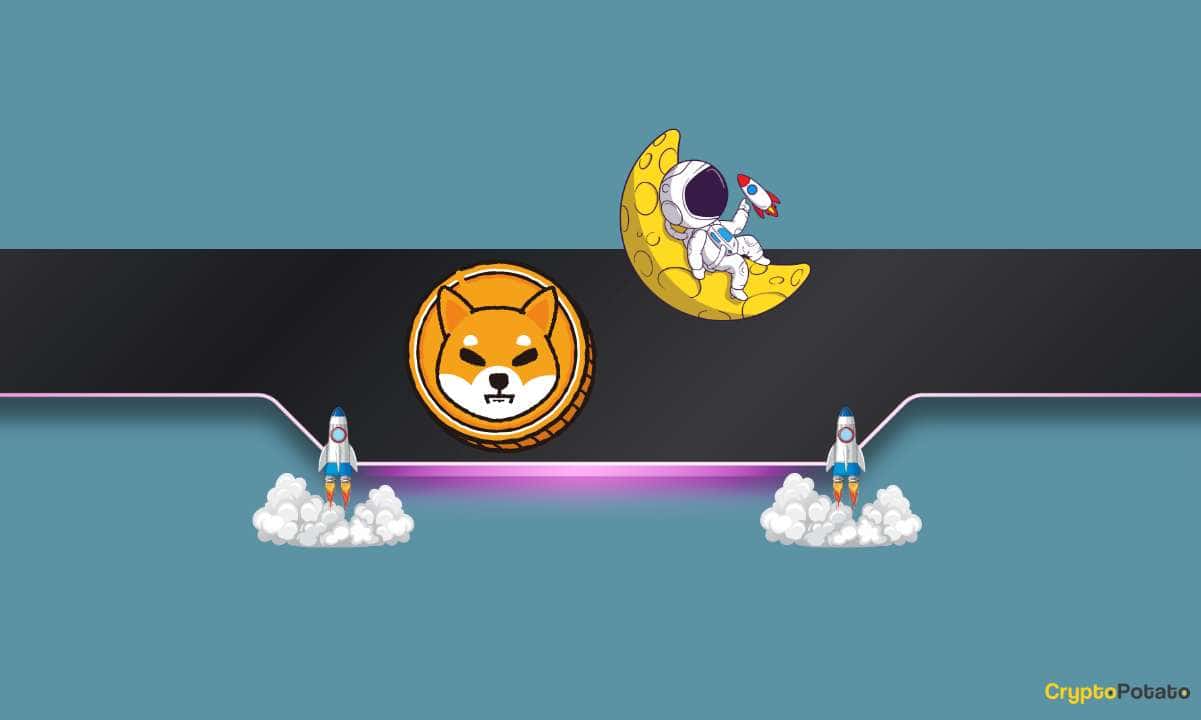 Shiba-inu-(shib)-explodes-13%-overnight-but-rival-meme-coin-outperforms