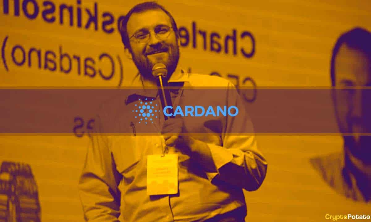 Cardano’s-hydra-project-under-fire:-hoskinson-steps-in-to-clarify