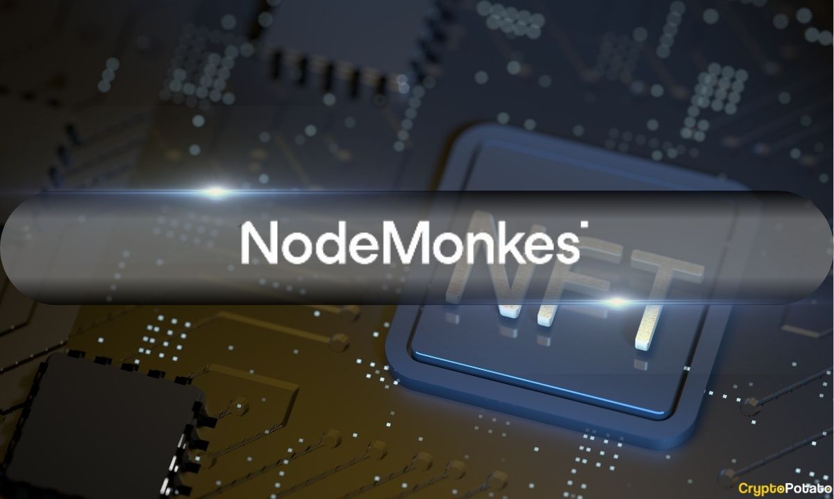 Bitcoin-ordinals-nft-craze:-nodemonkes-sees-53%-surge-in-floor-price