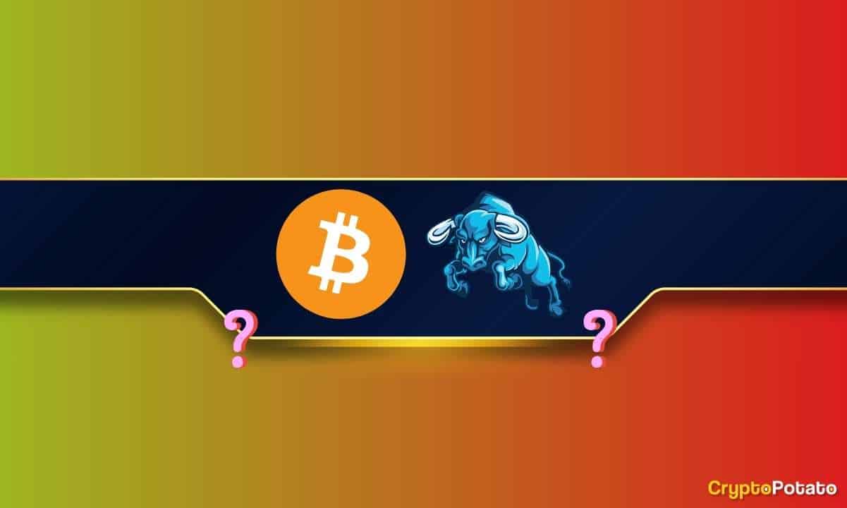 Bitcoin-post-halving-returns-could-boost-btc-prices-200%:-analysts