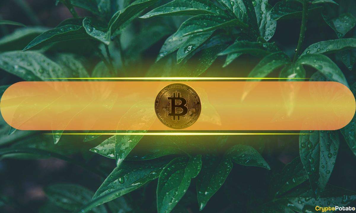 Btc-price-rebounds-despite-the-third-day-of-outflows-for-bitcoin-etfs