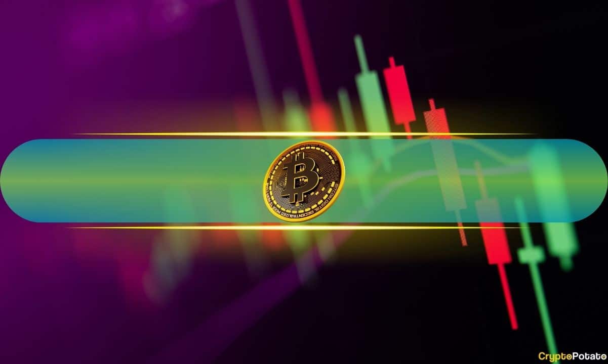 Bitcoin-struggles-at-$66k;-ripple’s-xrp-defies-bearish-momentum-(market-watch)